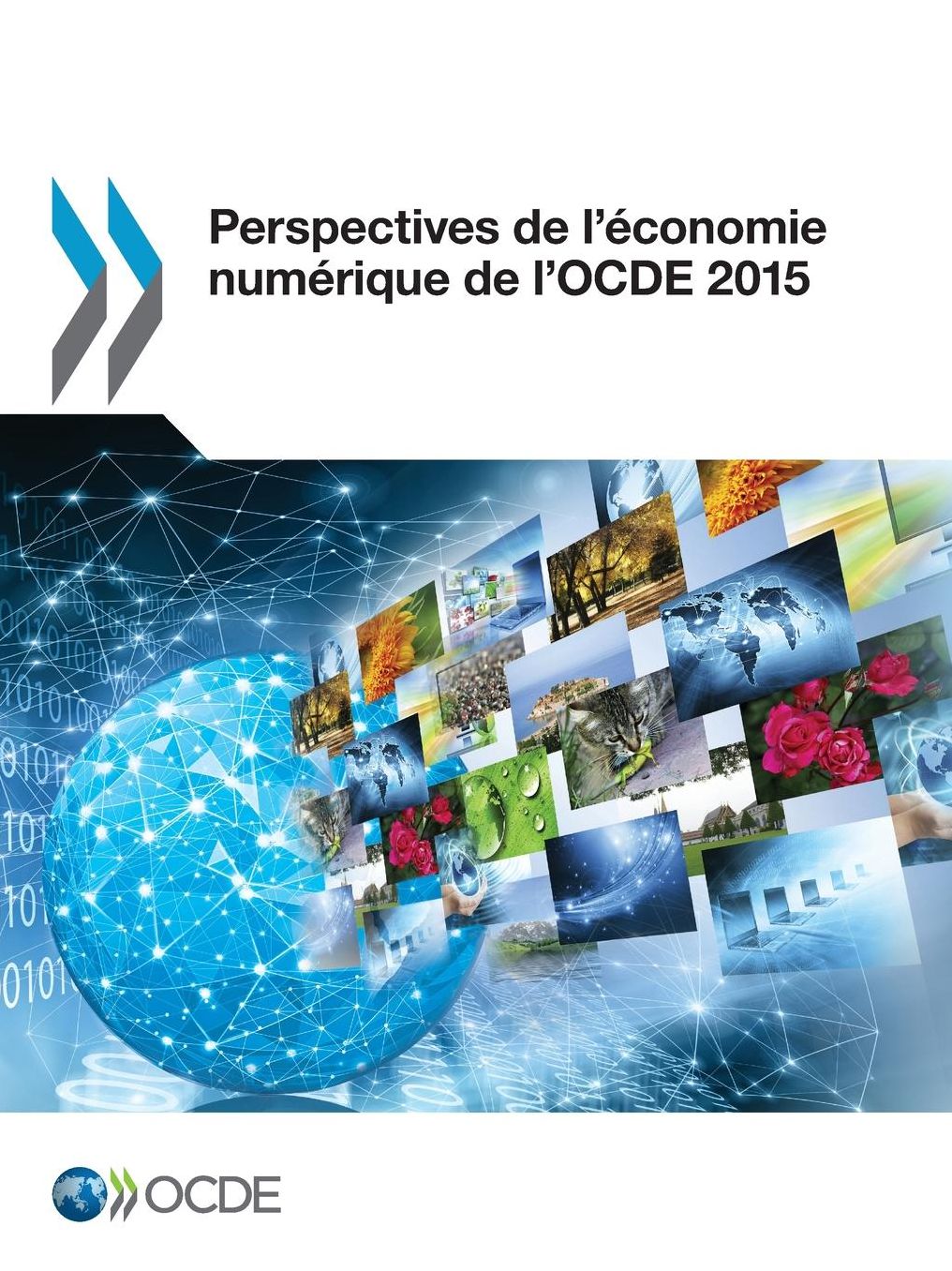 Perspectives de L'Economie Numerique de L'Ocde 2015