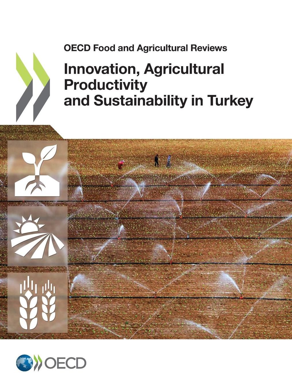 Innovation, Agricultural Productivity and Sustainability in Turkey