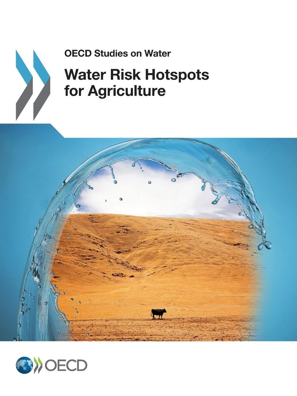 Water Risk Hotspots for Agriculture