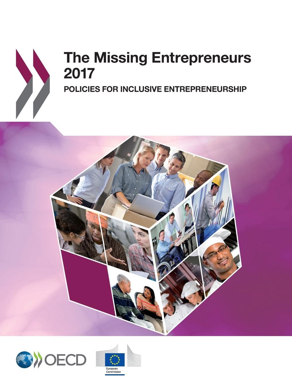 The Missing Entrepreneurs 2017: Policies for Inclusive Entrepreneurship