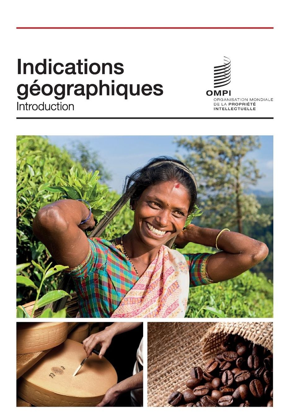 Indications g ographiques: Introduction