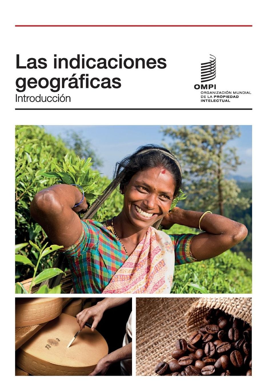 Las indicaciones geogr ficas: Introducci n