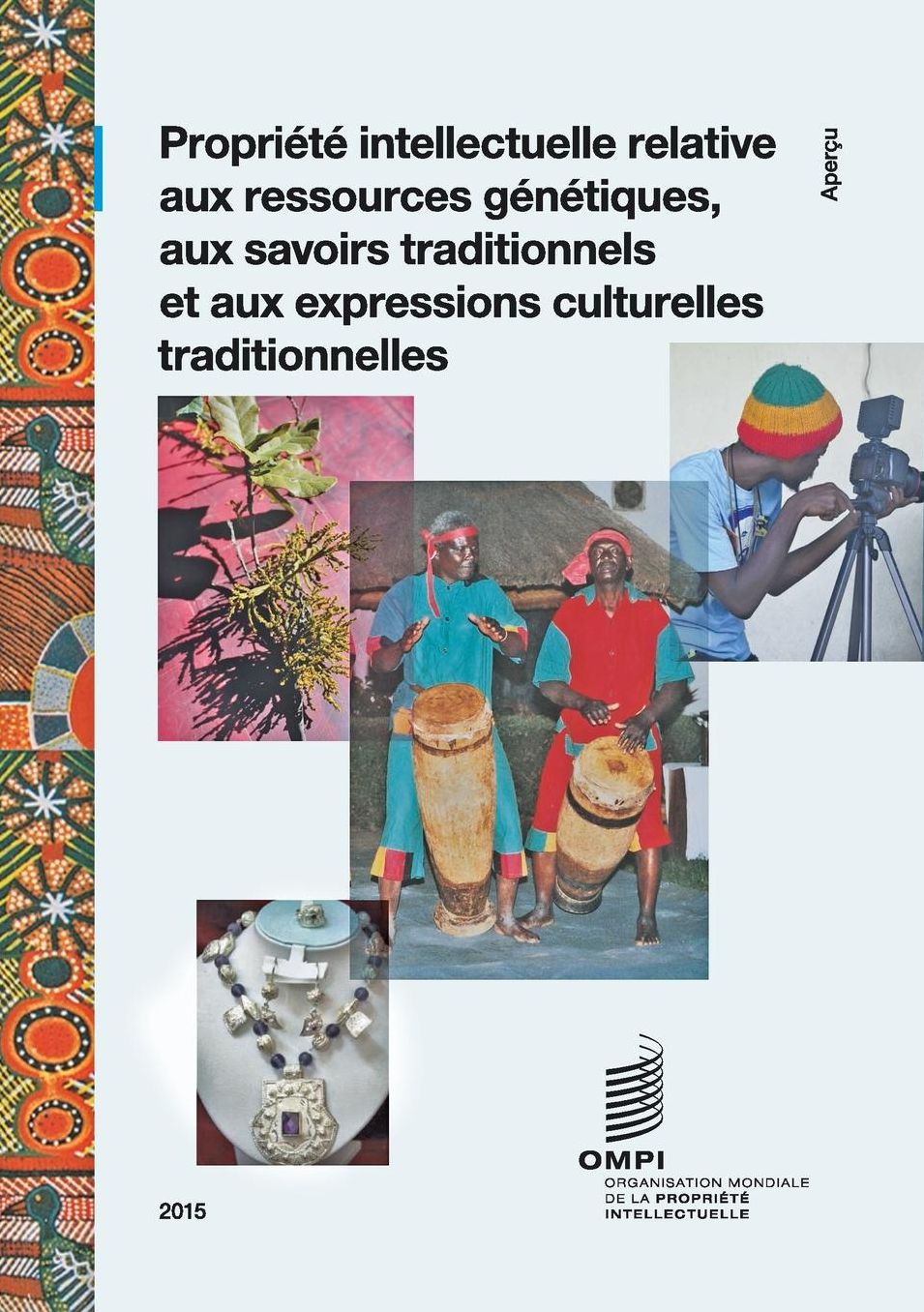 Propri t intellectuelle relative aux ressources g n tiques, aux savoirs traditionnels et aux expressions culturelles traditionnelles