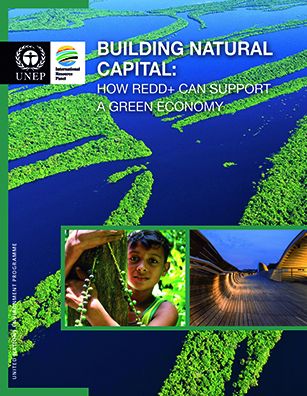 Building Natural Capital