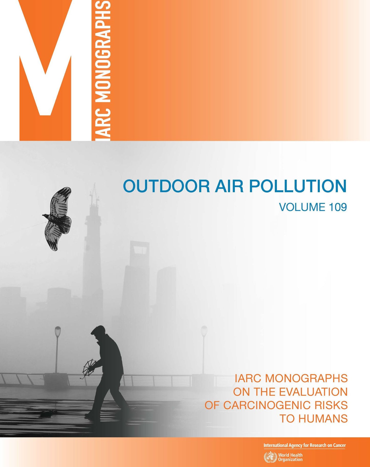 Outdoor Air Pollution: IARC Monographs on the Evaluation of Carcinogenic Risks to Humans