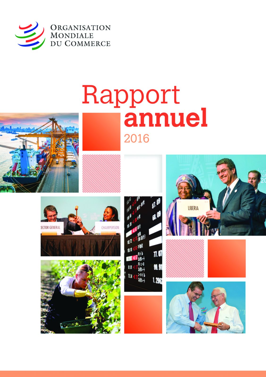 Rapport Annuel 2016