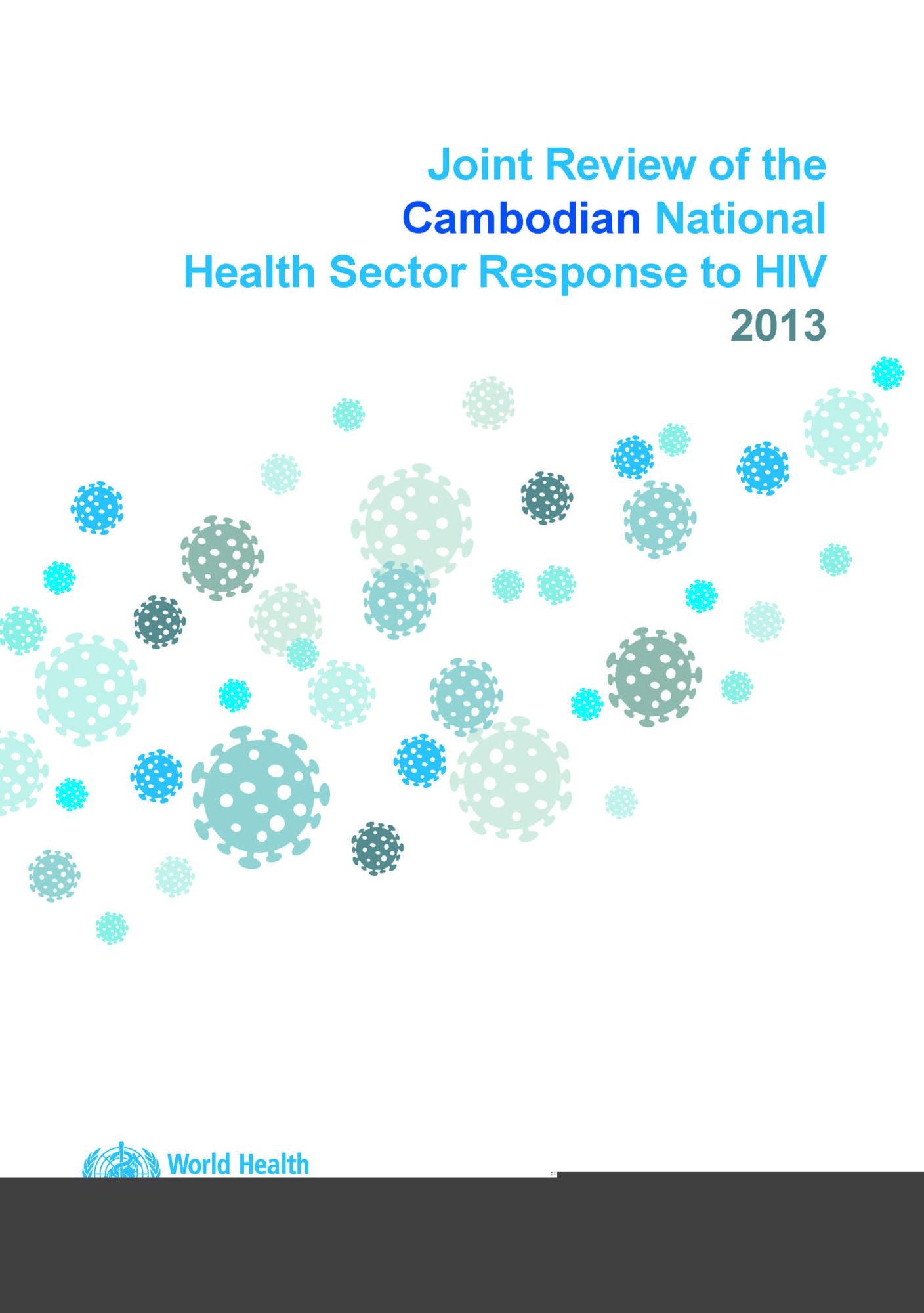 Joint Review of the Cambodian National Health Sector Response to HIV 2013