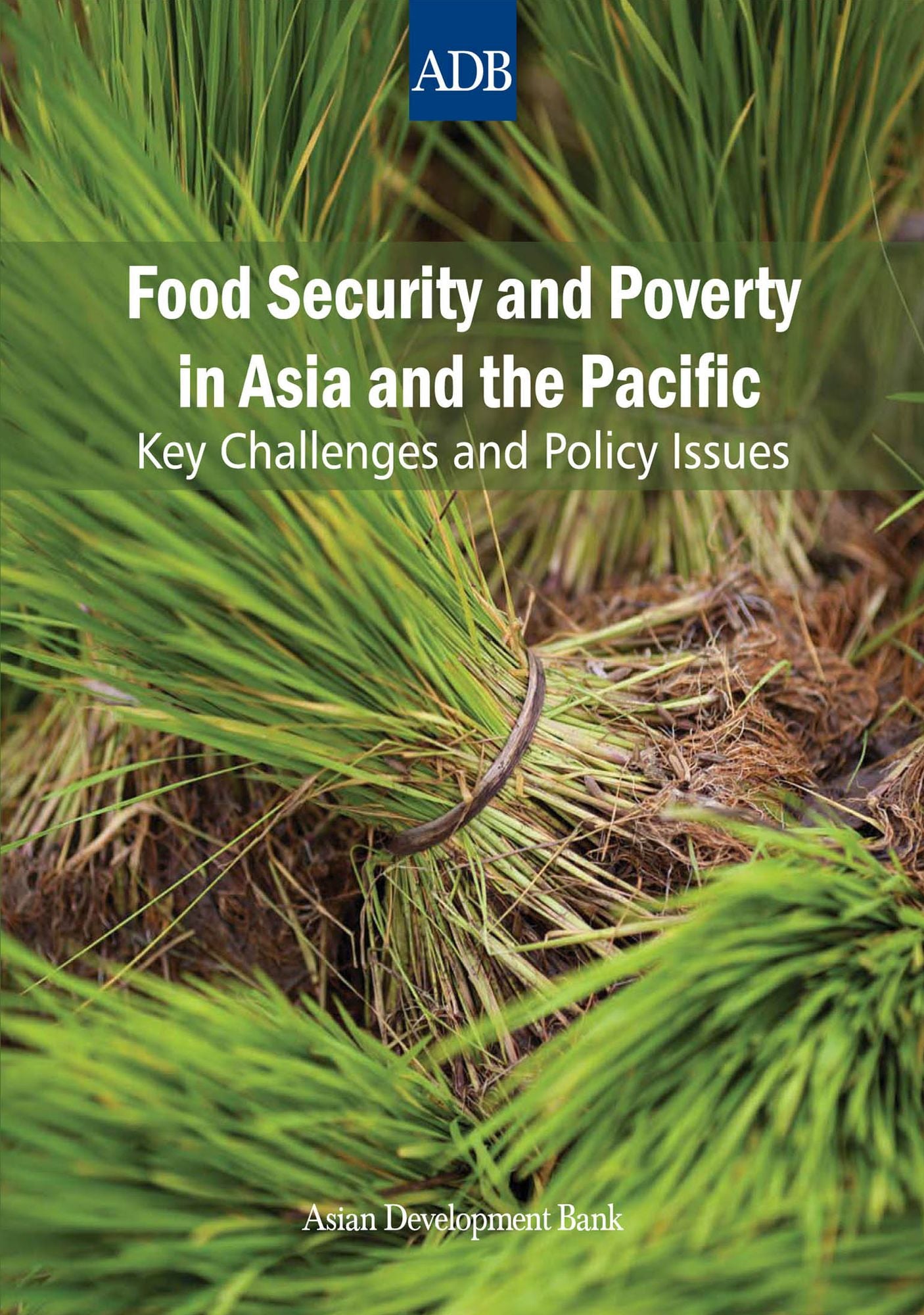 Food Security and Poverty in Asia and the Pacific: Key Challenges and Policy Issues
