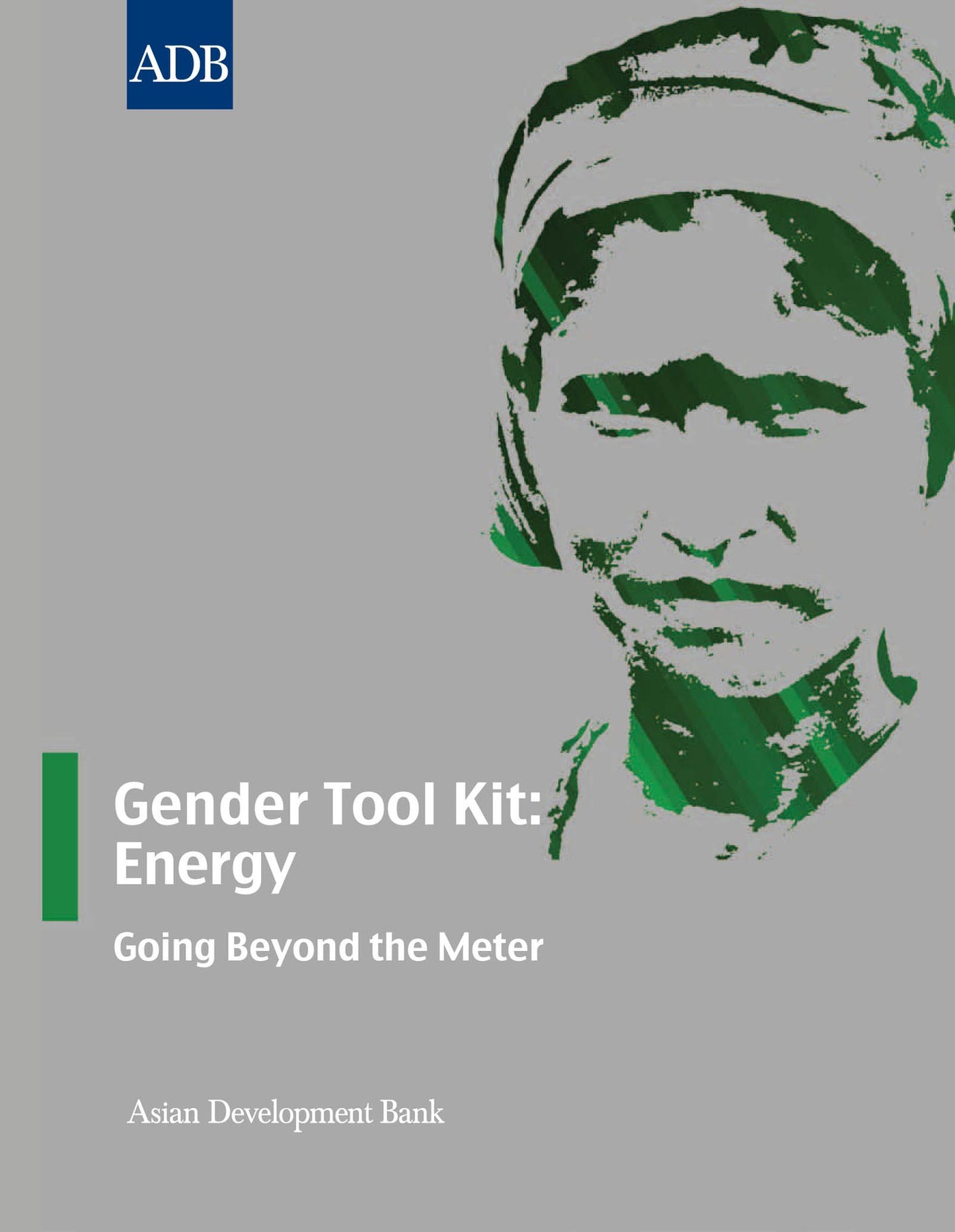 Gender Tool Kit: Energy: Going Beyond the Meter