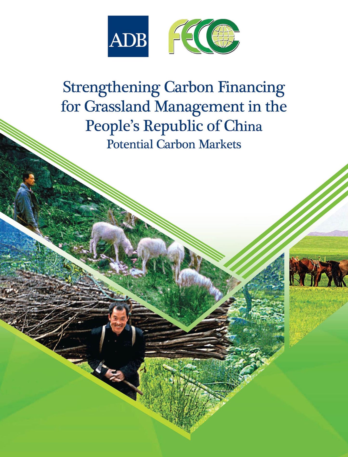 Strengthening Carbon Financing for Grassland Management in the People's Republic of China: Potential Carbon Markets