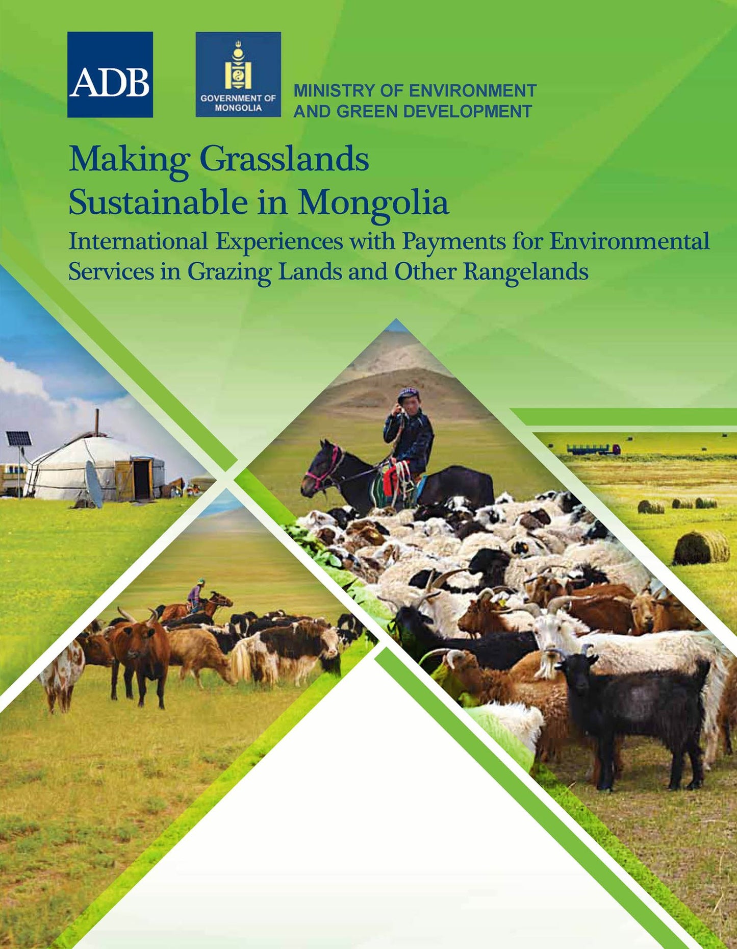 Making Grasslands Sustainable in Mongolia: International Experiences with Payments for Environmental Services in Grazing Lands and Other Rangelands