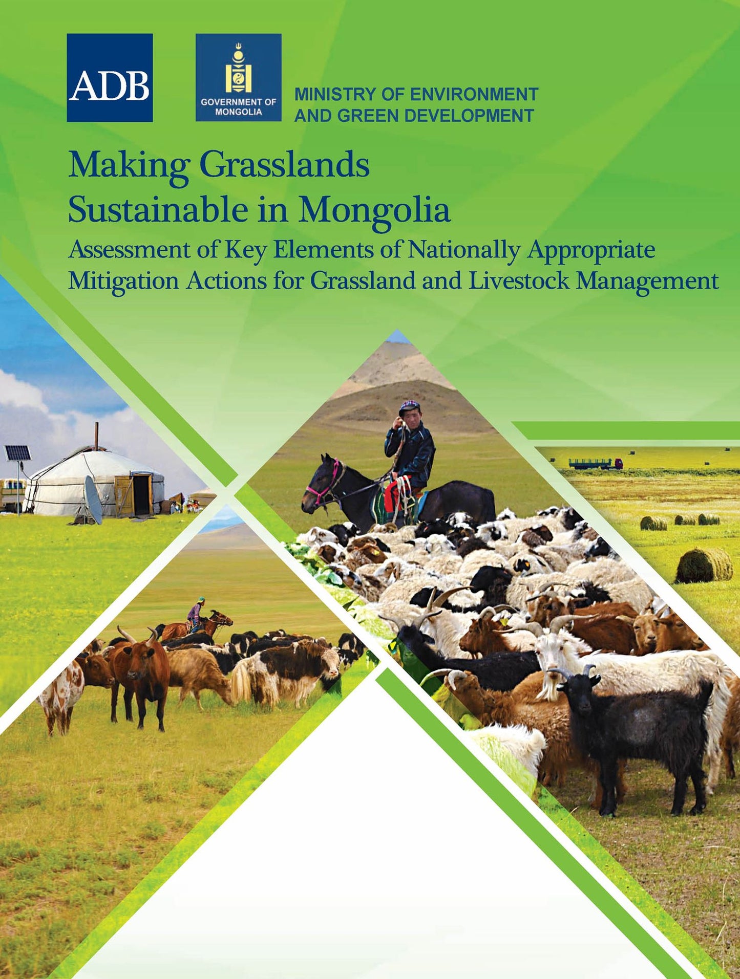 Making Grasslands Sustainable in Mongolia: Assessment of Key Elements in the Nationally Appropriate Mitigation Actions for Grassland and Livestock Management Development