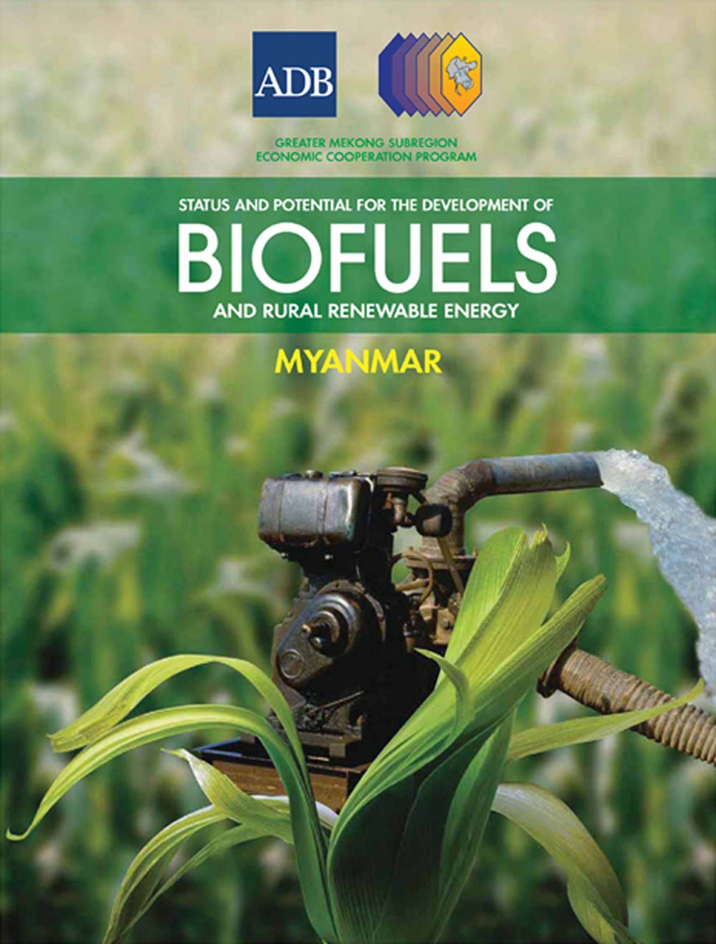 Status and Potential for the Development of Biofuels and Rural Renewable Energy: Myanmar