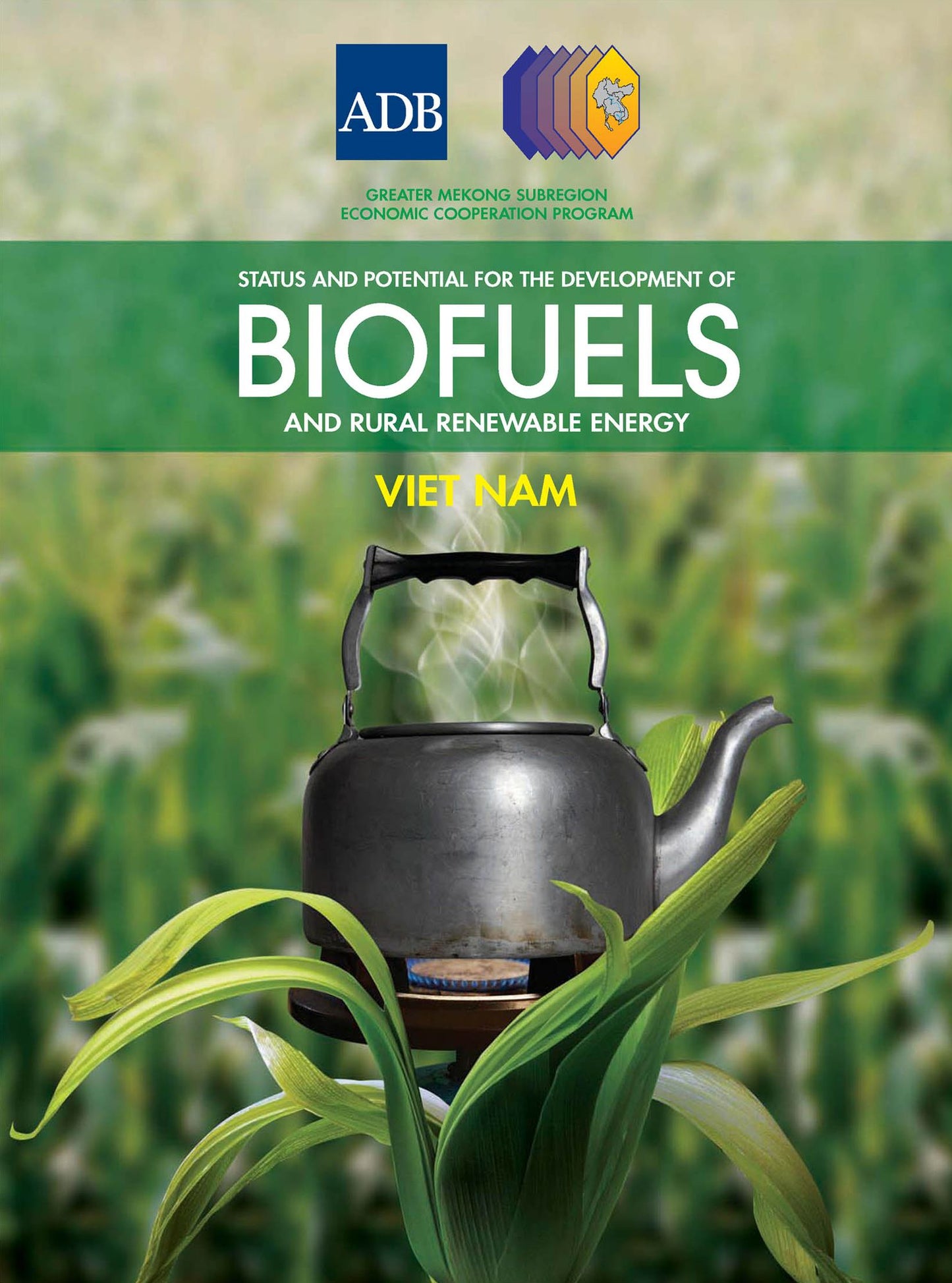 Status and Potential for the Development of Biofuels and Rural Renewable Energy: Viet Nam
