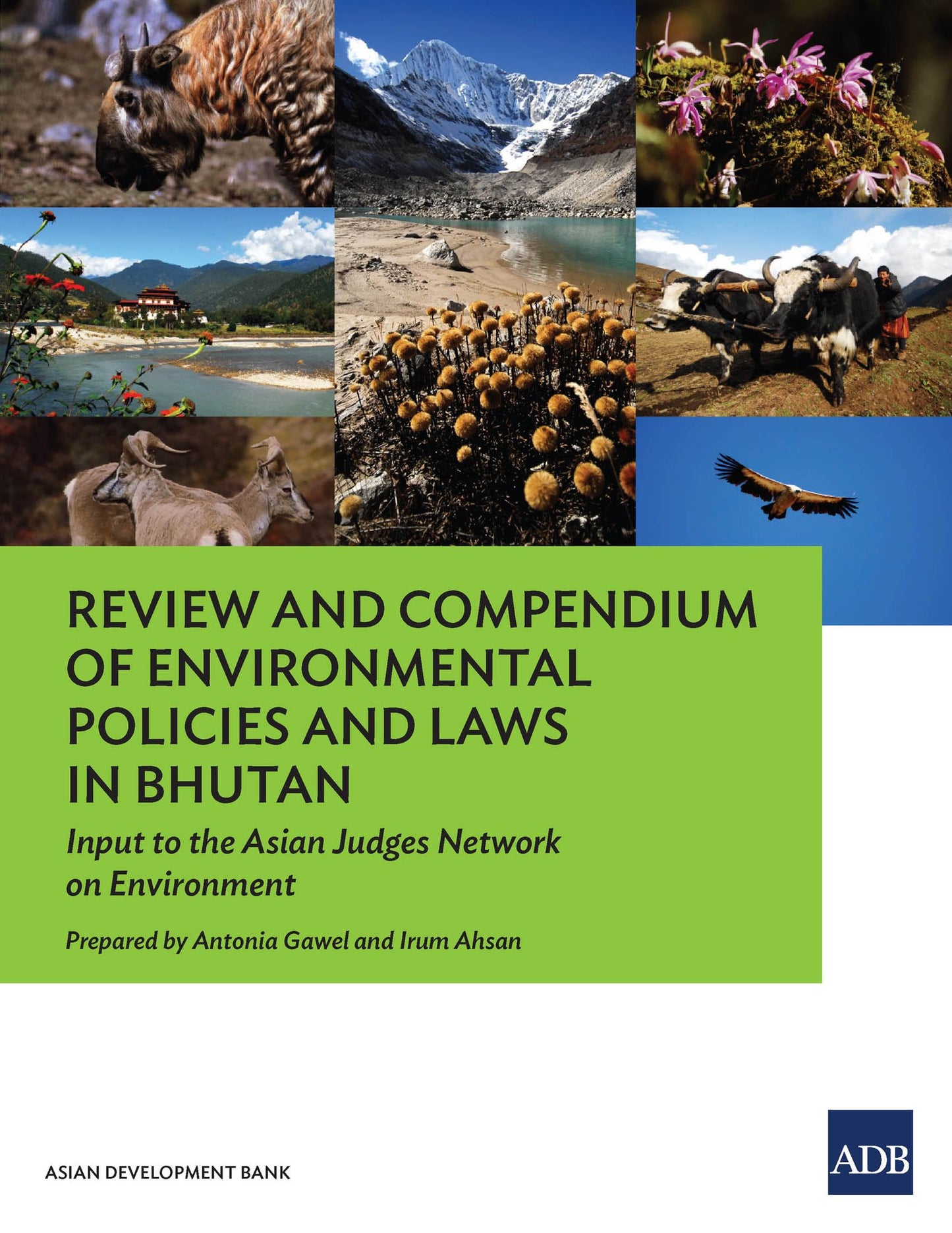 Review and Compendium of Environmental Policies and Laws in Bhutan: Input to the Asian Judges Network on Environment