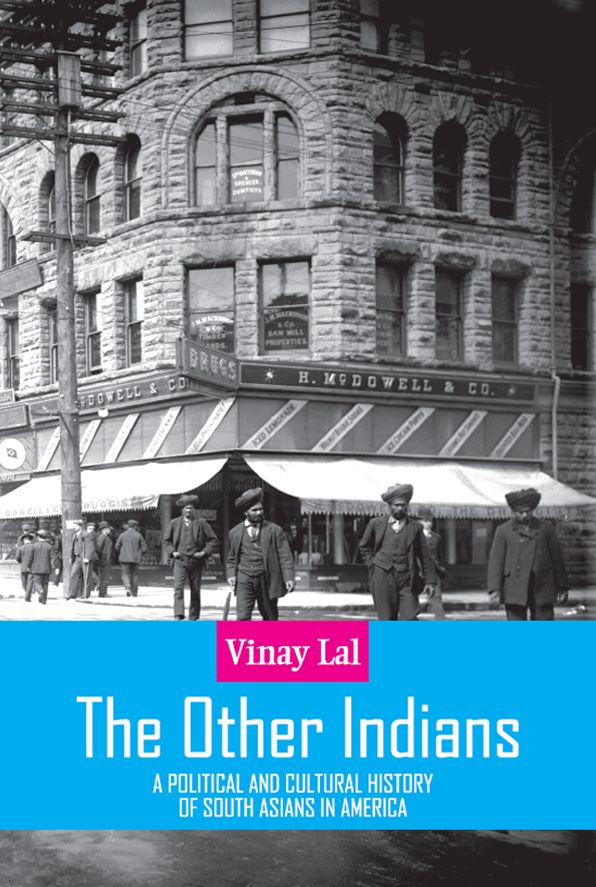 The Other Indians : A Political And Cultural History Of South Asians In America