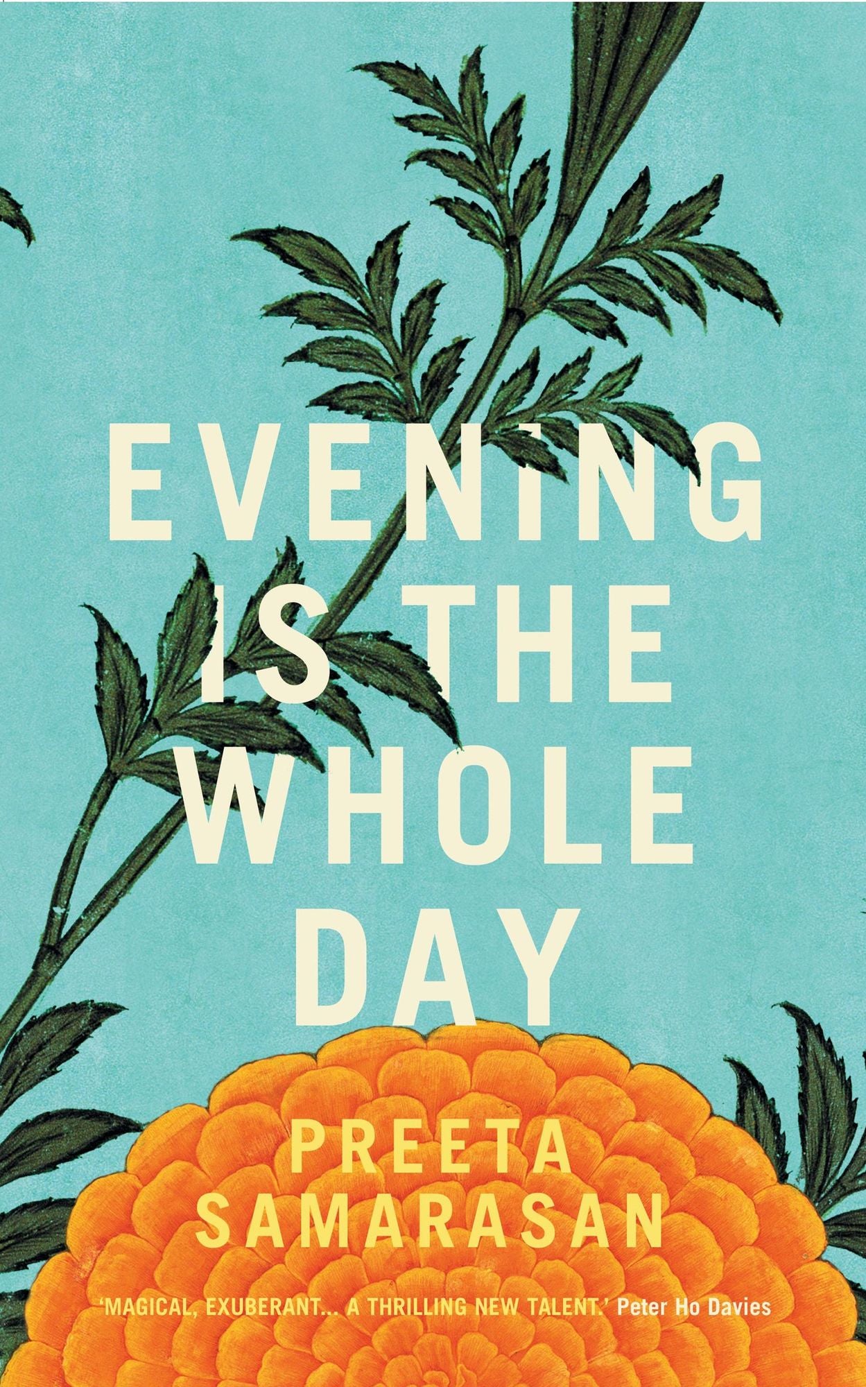 Evening Is The Whole Day