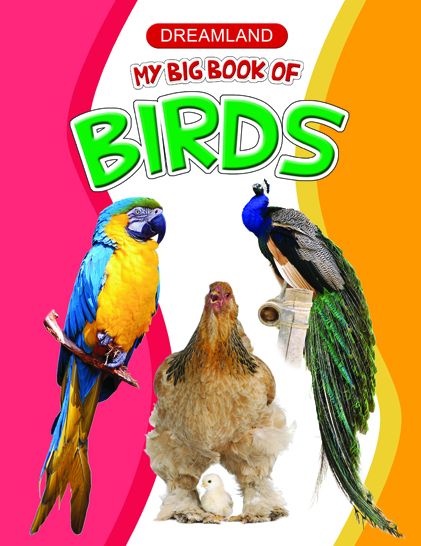 My Big Book of Birds: Big Book Series