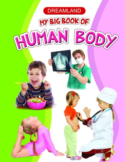 My Big Book of Human Body: Big Book Series