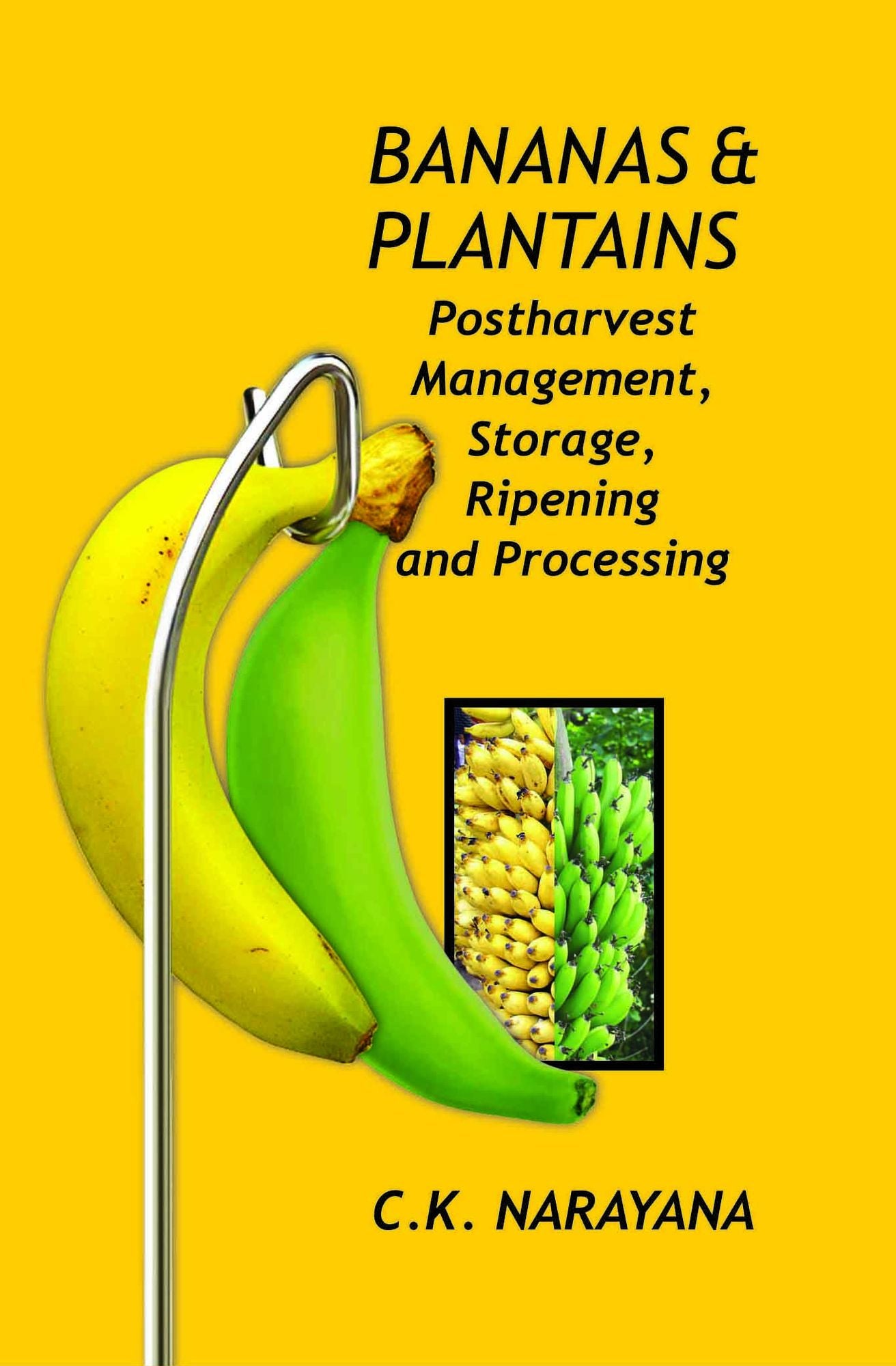 Bananas and Plantains: Postharvest Management,Storage,Ripening and Processing
