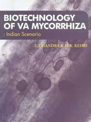 Biotechnology of VA Mycorrhizza: Indian Scenario