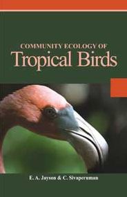 Community Ecology of Tropical Birds