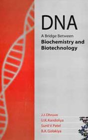 DNA: A Bridge Between Biochemistry and Biotechnology