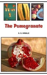 The Pomegranate
