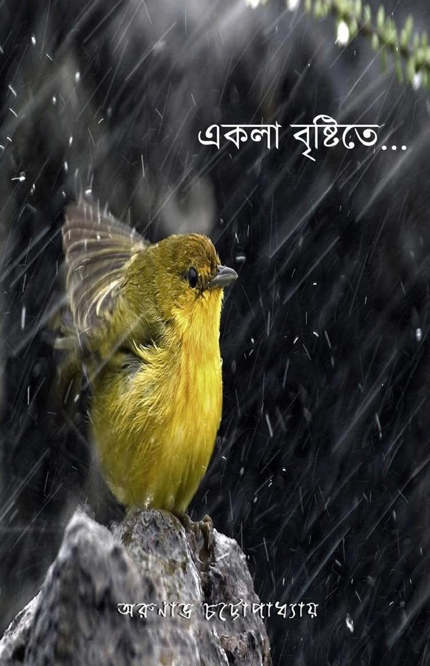 Ekla Brishti Te