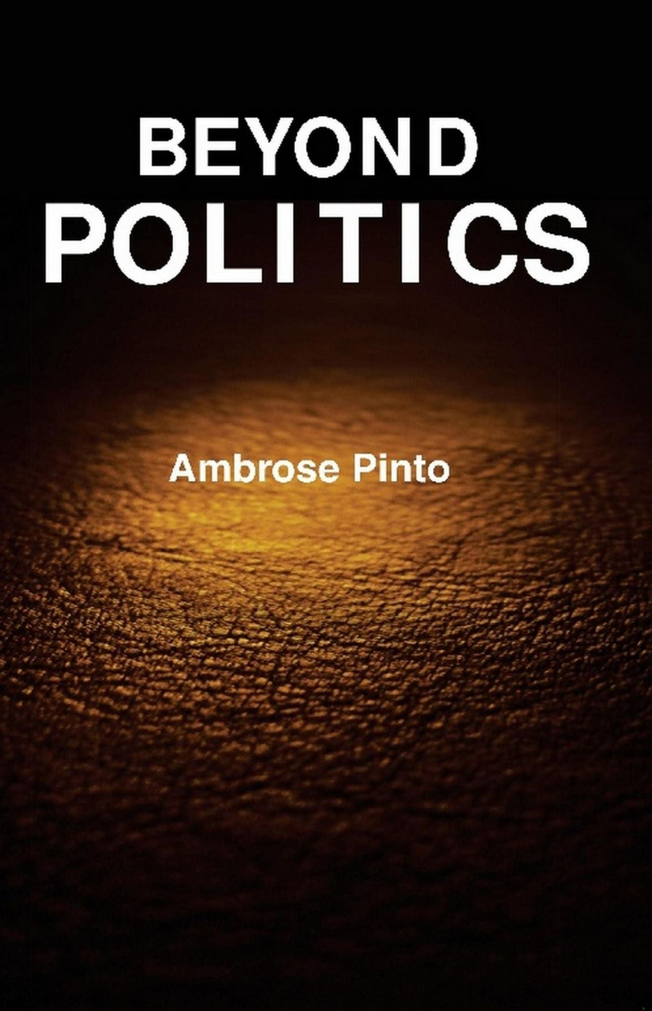 Beyond politics: Essays in Memory of Professor Sanjay Kumar Biswas