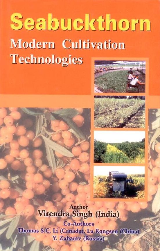 Seabuckthorn: Modern Cultivation Technologies