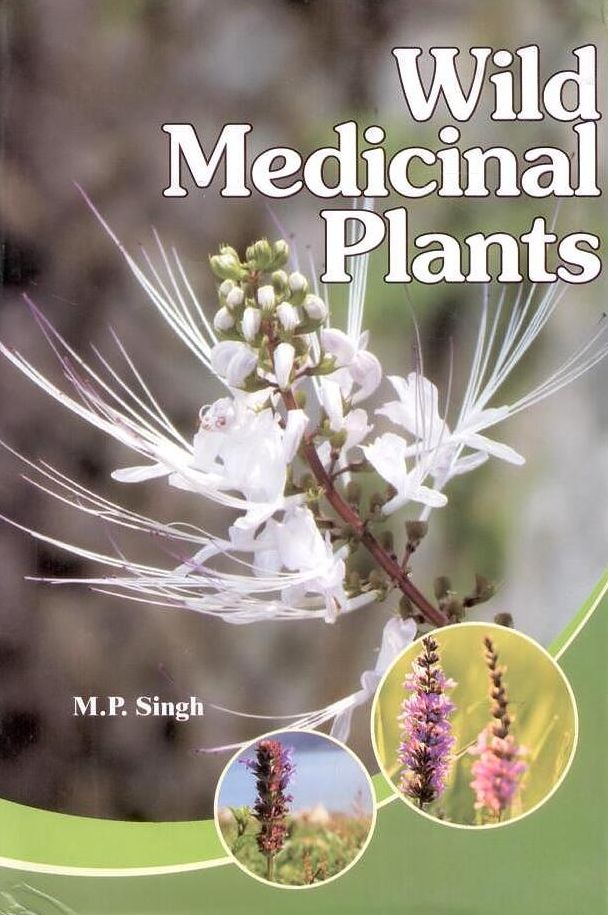 Wild Medicinal Plants