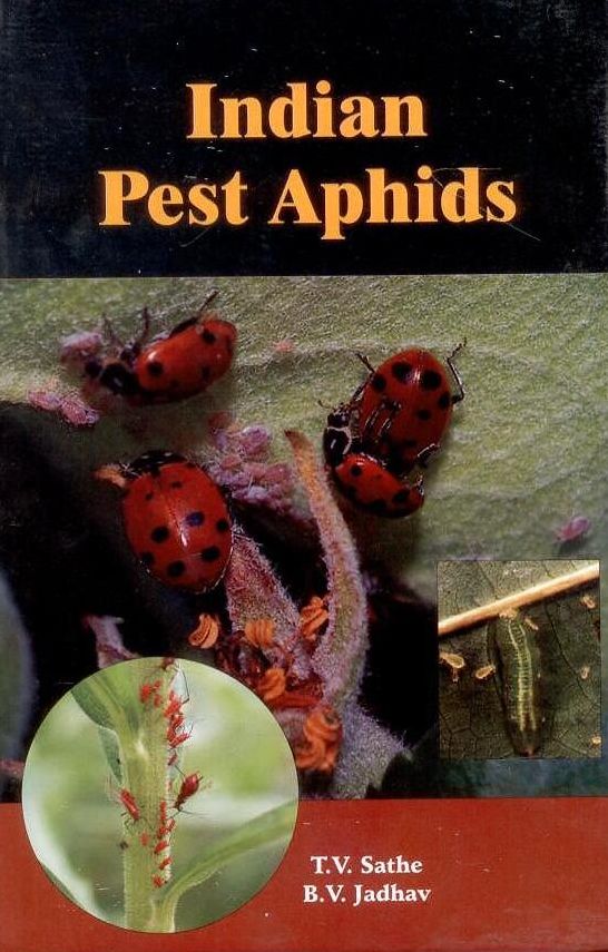 Indian Pest Aphids