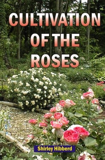 Cultivation of the Roses