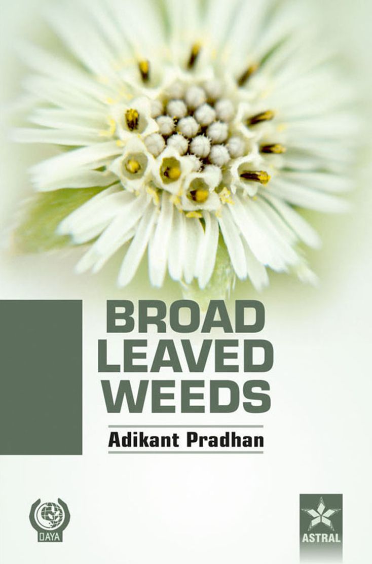 Broad Leaved Weeds