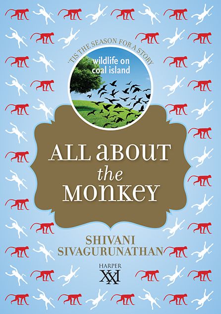All About Monkey