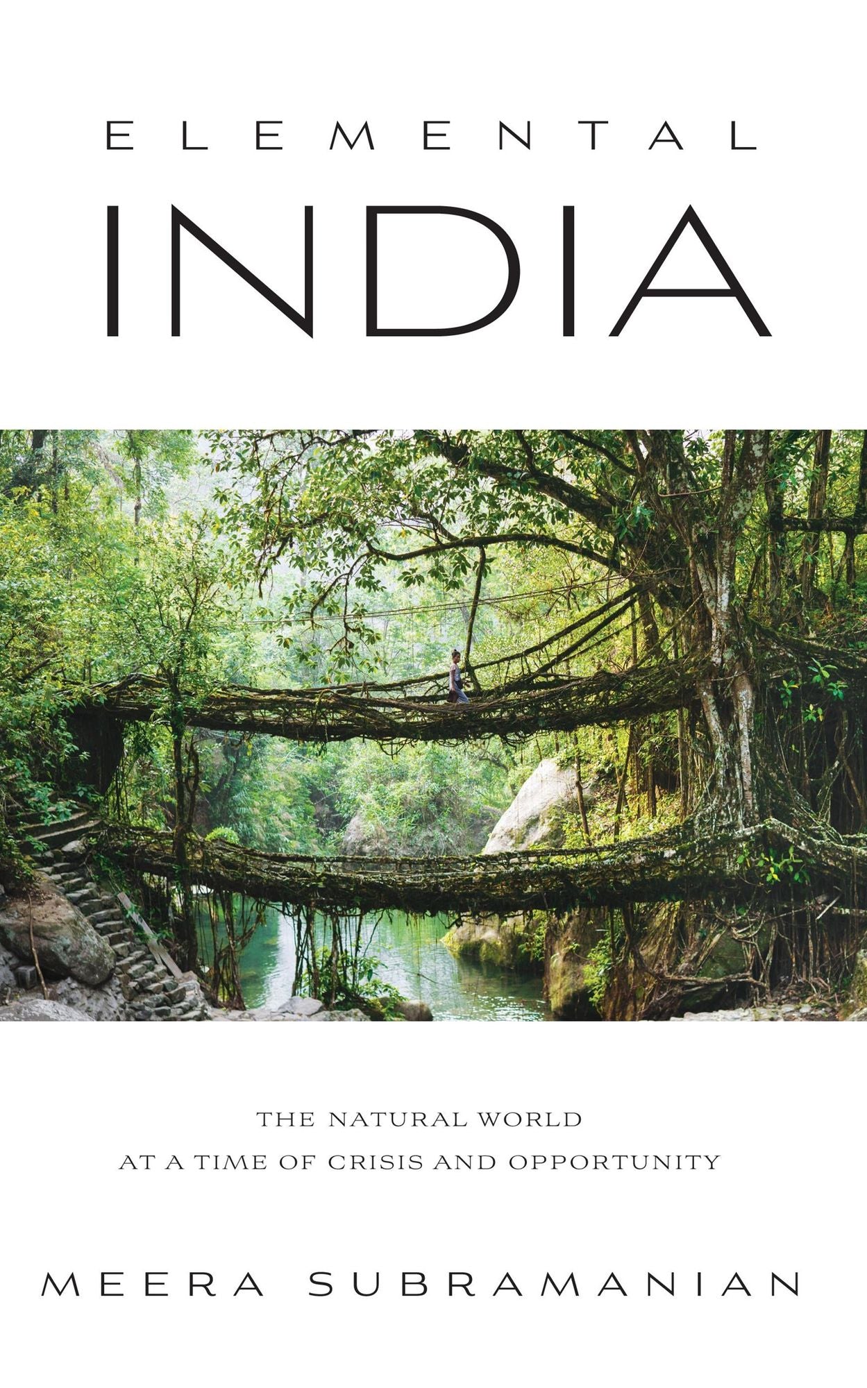 Elemental India: The Natural World at a Time of Crisis and Opportunity