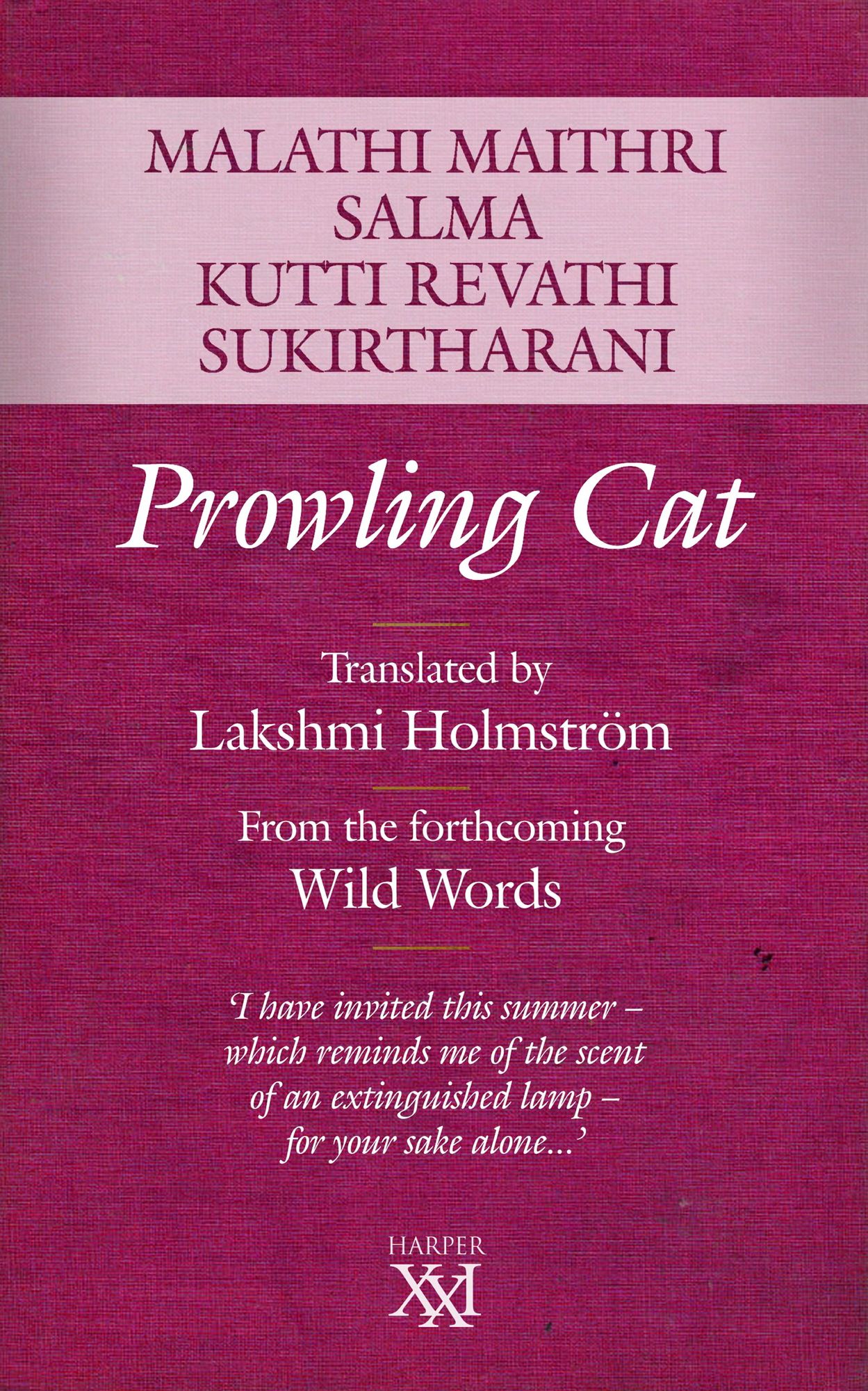 Prowling Cat