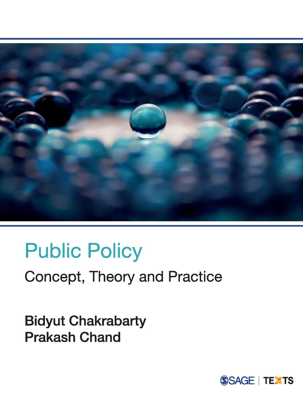 Public Policy: Concept, Theory and Practice