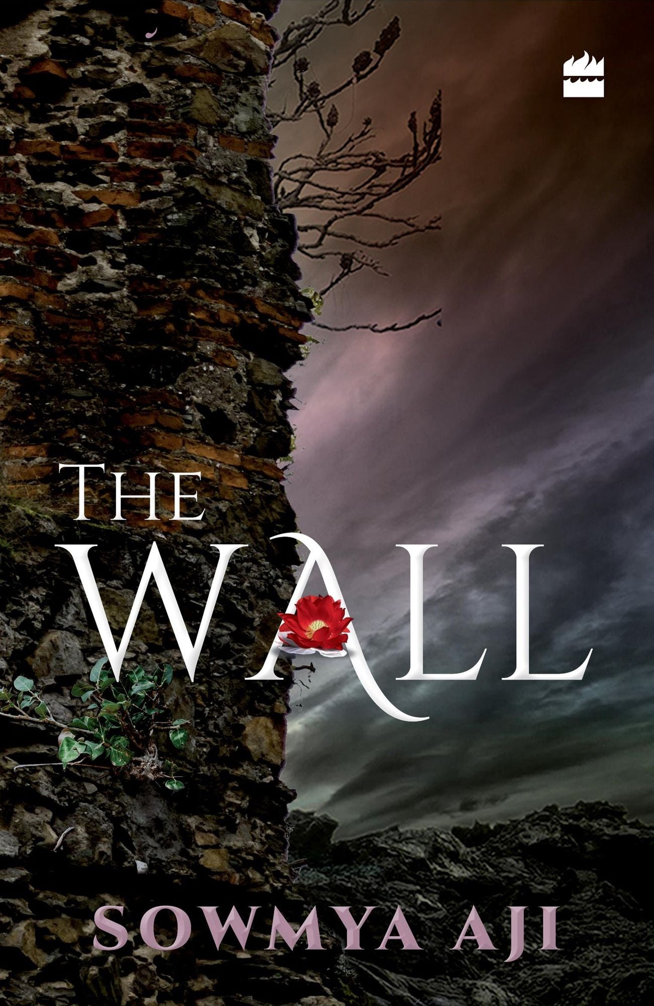 The Wall