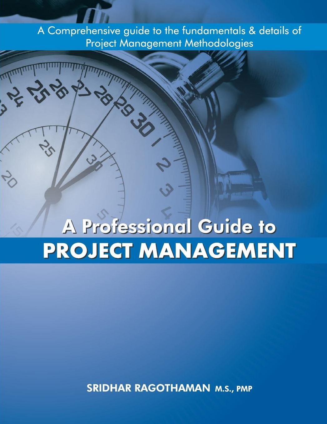 A Professional Guide to Project Managment