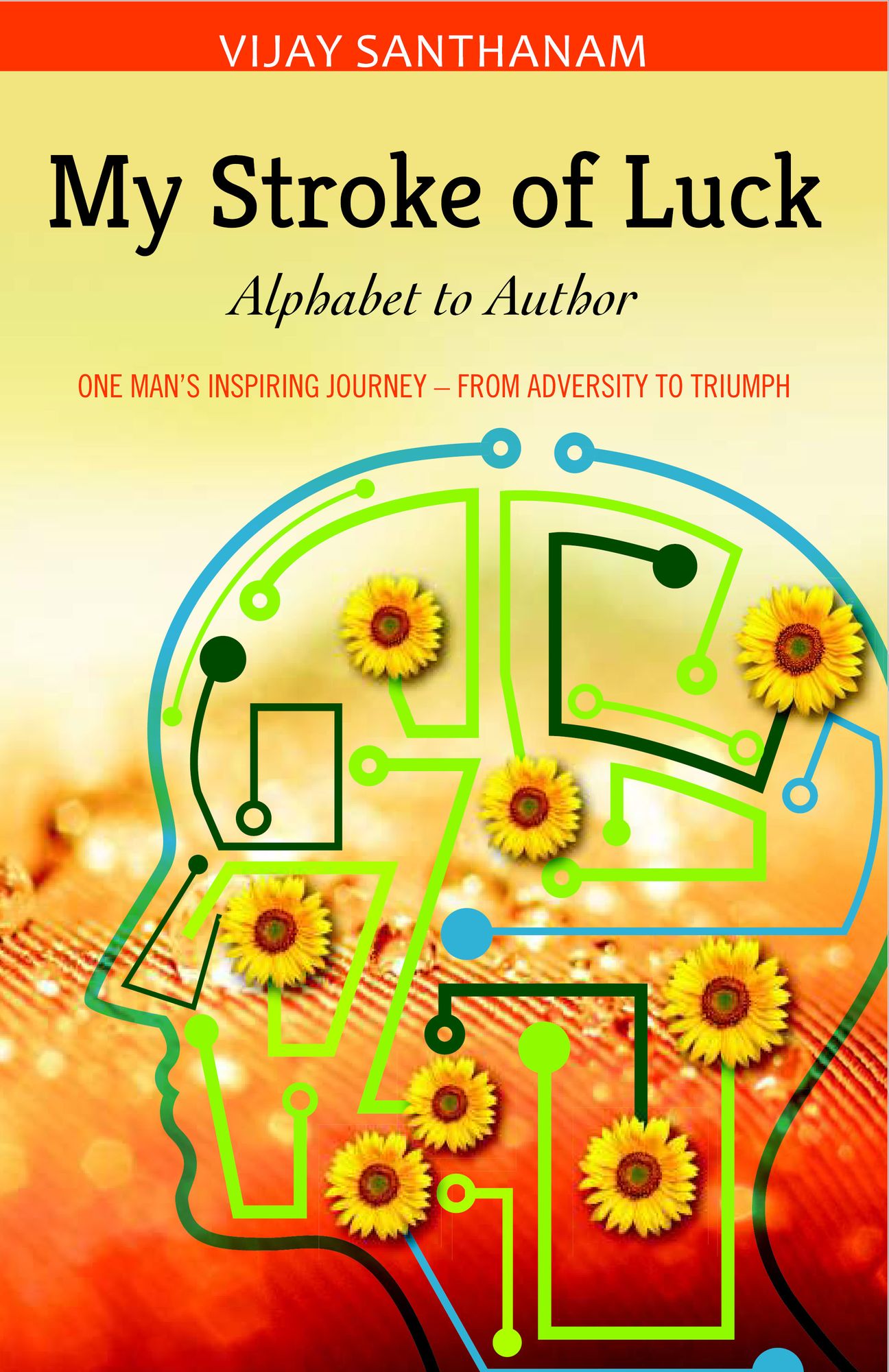 My Stroke of Luck: Alphabet to Author - One Man's Inspiring Journey from Adversity to Triumph