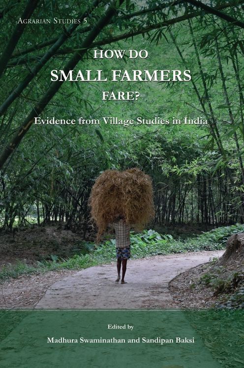 How Do Small Farmers Fare?: Evidence from Village Studies in India