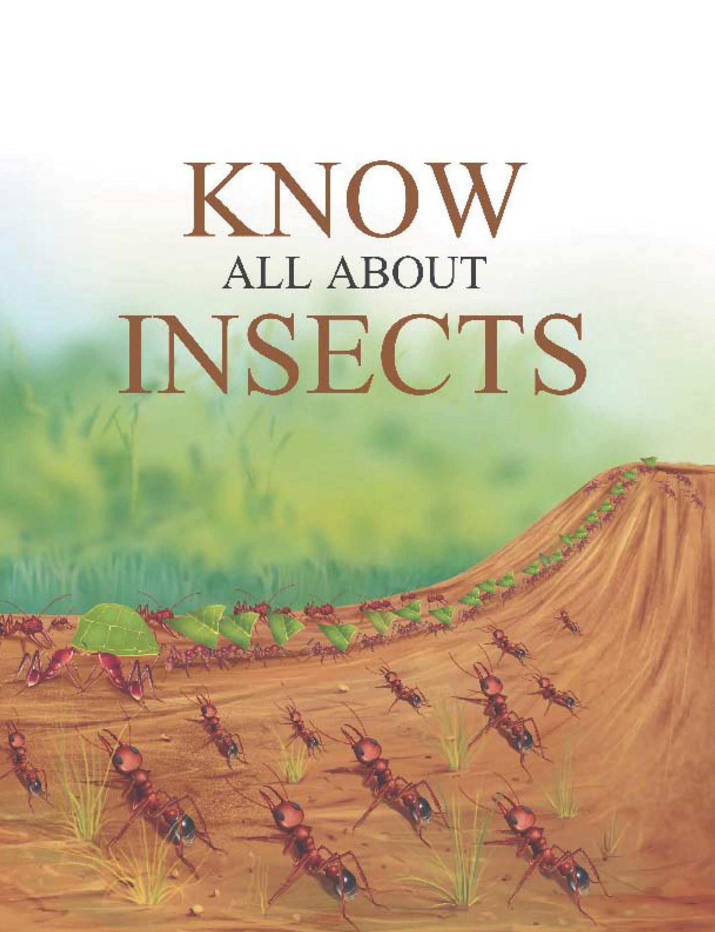 Know all about Insects
