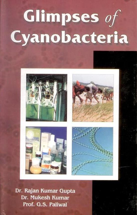 Glimpses of Cyanobacteria