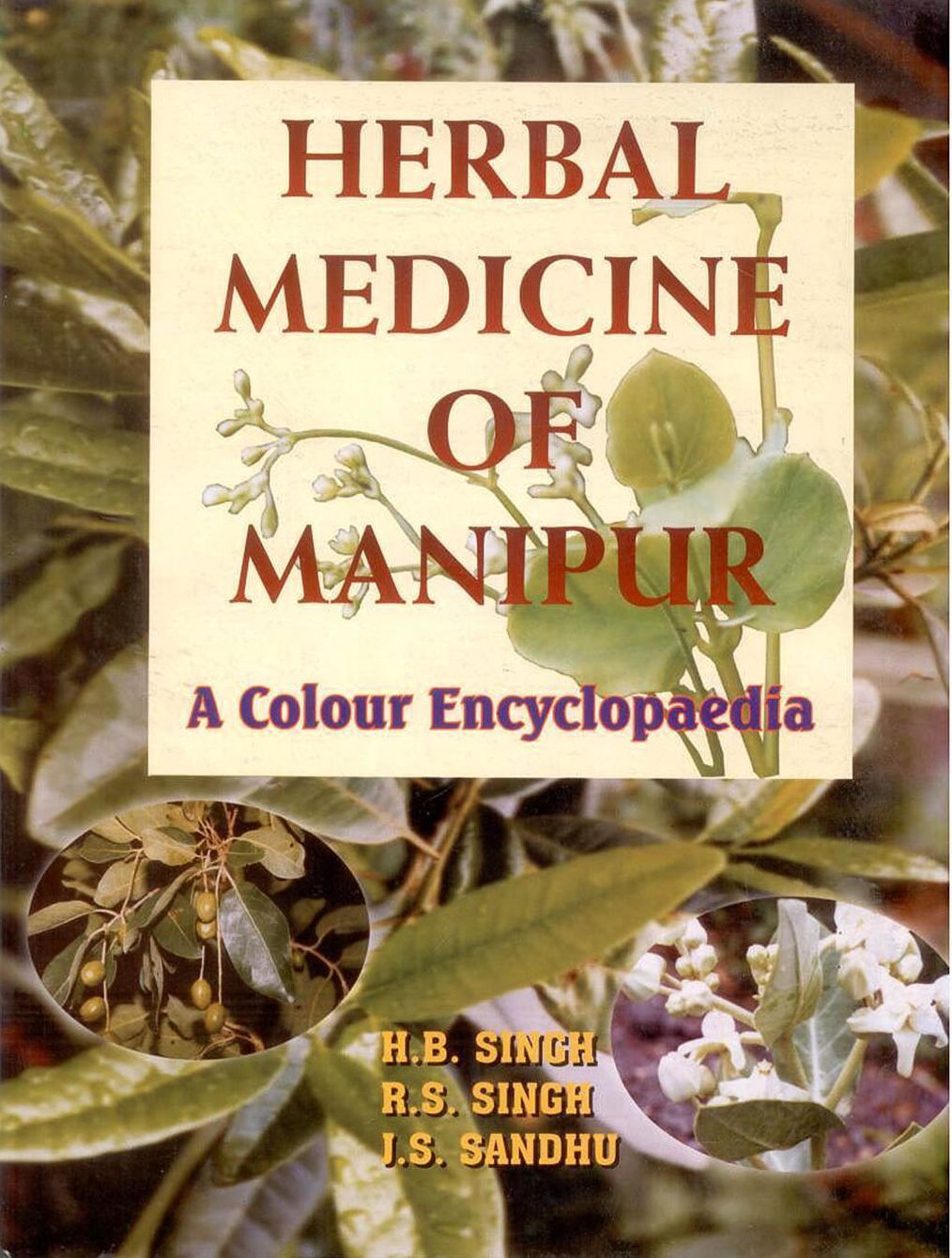 Herbal Medicine of Manipur: A Colour Encyclopaedia