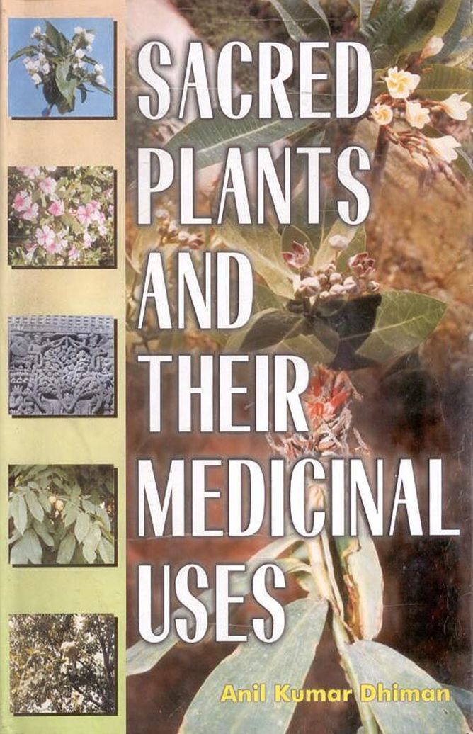 Sacred Plants and their Medicinal Uses