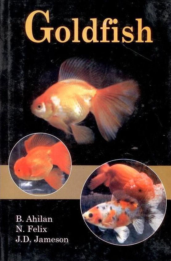 Goldfish