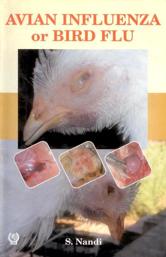 Avian Influenza or Bird Flu