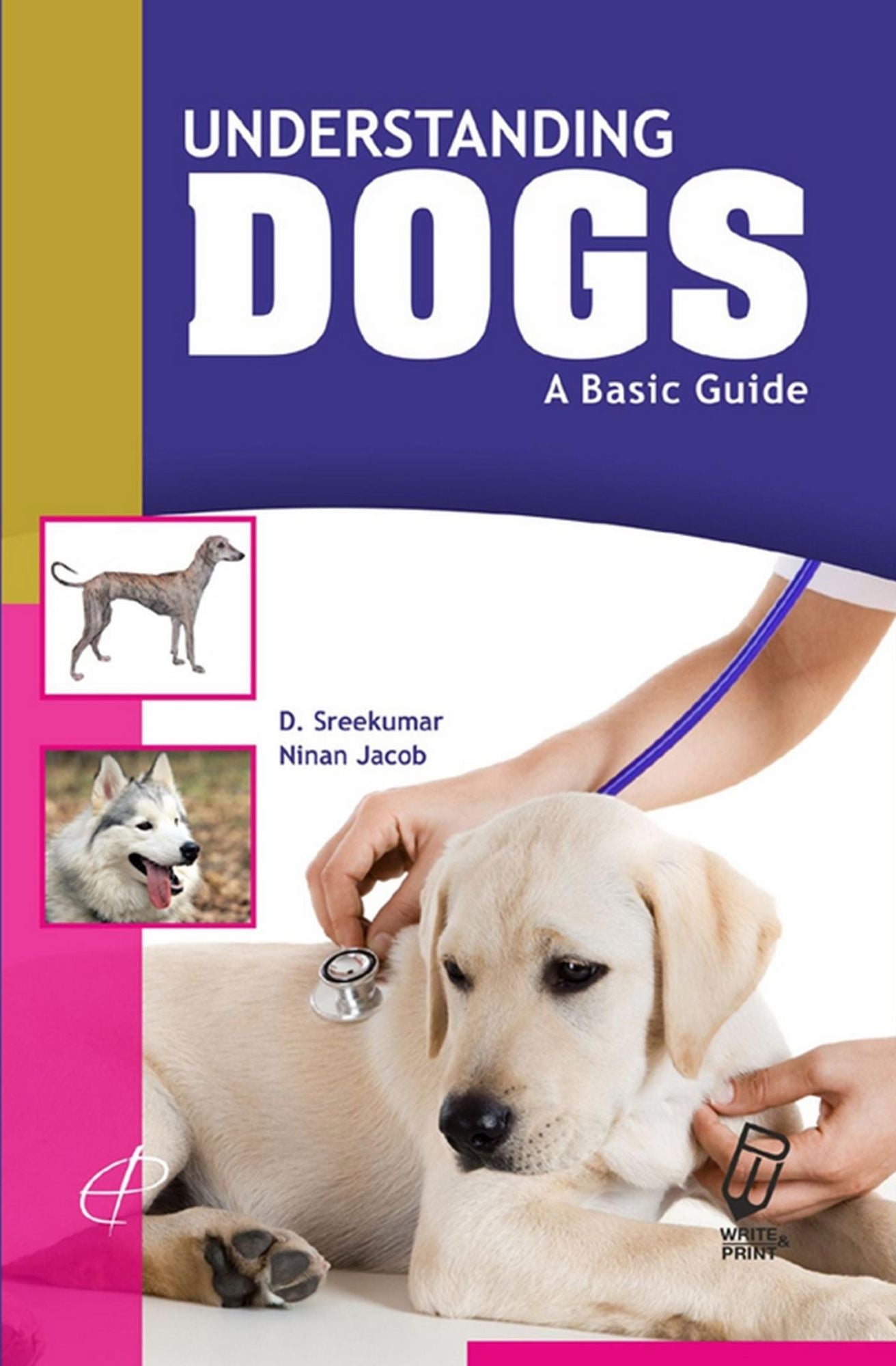 Understanding Dogs: A Basic Guide